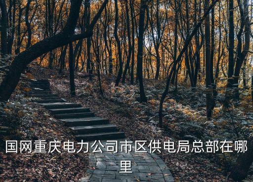 國網重慶電力公司市區供電局總部在哪里
