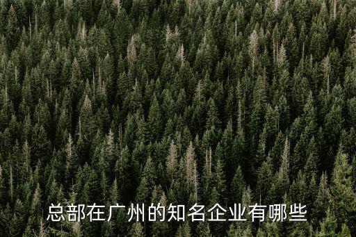 總部在廣州的知名企業(yè)有哪些