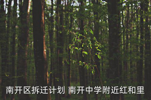 南開區拆遷計劃 南開中學附近紅和里