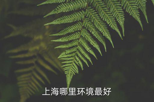 上海哪里環(huán)境最好
