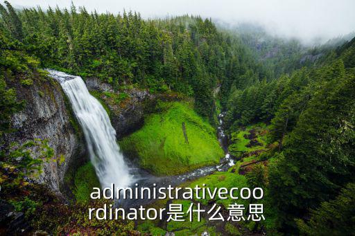 尹偉奇 上海市業余物理，administrativecoordinator是什么意思