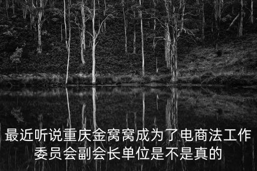 最近聽說重慶金窩窩成為了電商法工作委員會副會長單位是不是真的