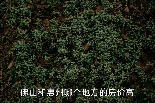 佛山和惠州哪個地方的房價高