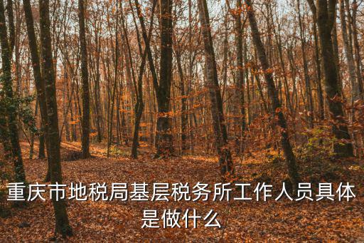 重慶市稅務(wù)局喬偉簡(jiǎn)歷，重慶市渝北區(qū)星光大道60號(hào) 旁邊有幾個(gè)銀行那個(gè)稅務(wù)局和工商