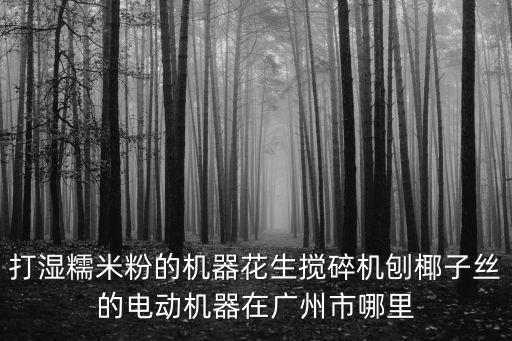 打濕糯米粉的機(jī)器花生攪碎機(jī)刨椰子絲的電動(dòng)機(jī)器在廣州市哪里