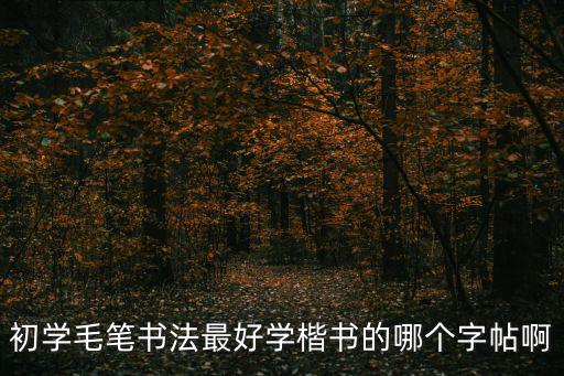 歐體毛筆楷書字帖,初學毛筆書法最好學楷書哪些字帖?
