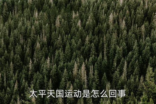 太平天國運動是怎么回事