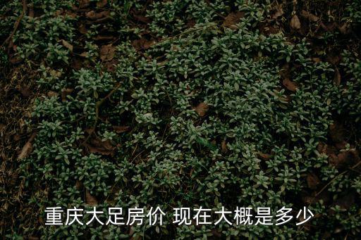 重慶大足房價 現在大概是多少