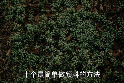 十個最簡單做顏料的方法