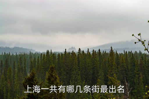 上海老街排名一覽表，上海最著名的街是哪50條街