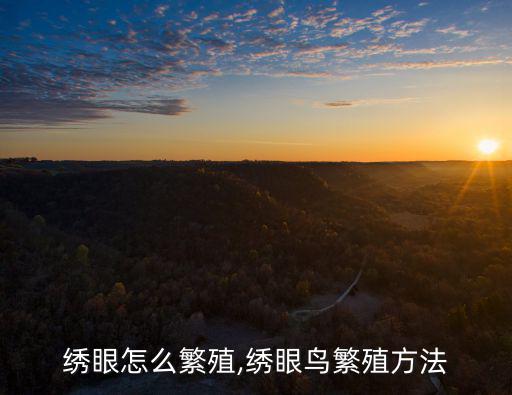 繡眼,中國繡眼鳥分布于亞洲南部至大洋洲和非洲