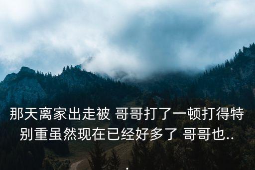 那天離家出走被 哥哥打了一頓打得特別重雖然現(xiàn)在已經(jīng)好多了 哥哥也...