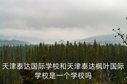 天津泰達(dá)國(guó)際學(xué)校和天津泰達(dá)楓葉國(guó)際學(xué)校是一個(gè)學(xué)校嗎