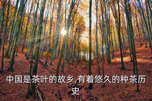 中國茶史,中國是茶葉的故鄉也是茶文化發源地