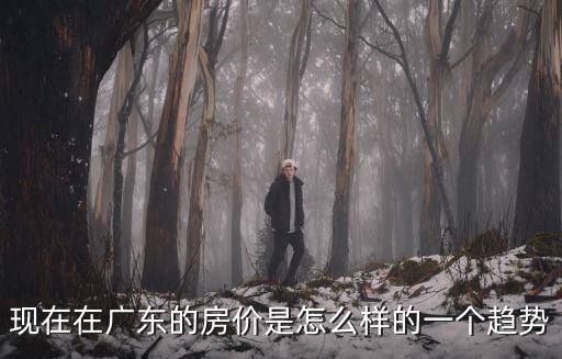 現在在廣東的房價是怎么樣的一個趨勢