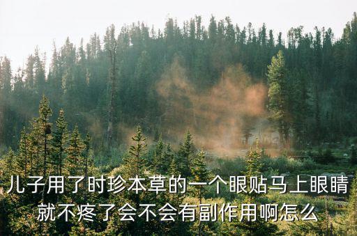 兒子用了時珍本草的一個眼貼馬上眼睛就不疼了會不會有副作用啊怎么