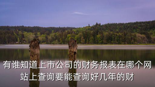 有誰知道上市公司的財務報表在哪個網站上查詢要能查詢好幾年的財