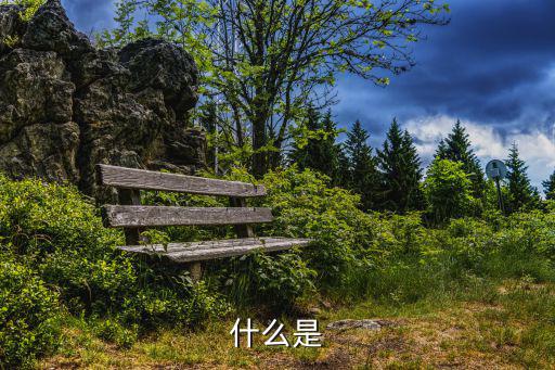 什么是