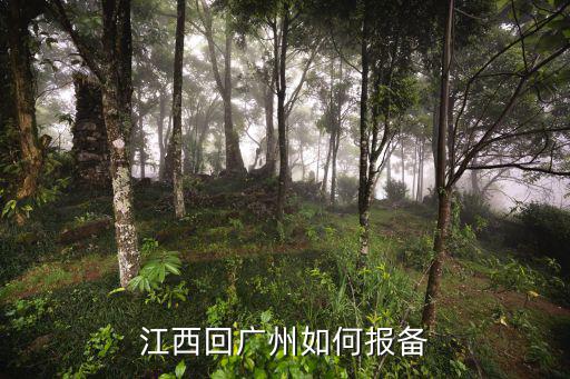 廣州復工要報備嗎，廣州目前出行需要報備嗎