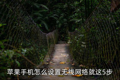 蘋果手機怎么設置無線網絡就這5步