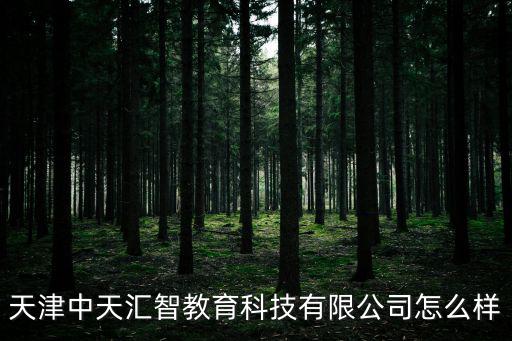天津中天匯智教育科技有限公司怎么樣
