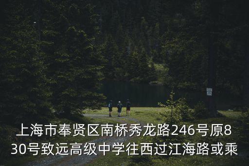 上海市奉賢區南橋秀龍路246號原830號致遠高級中學往西過江海路或乘