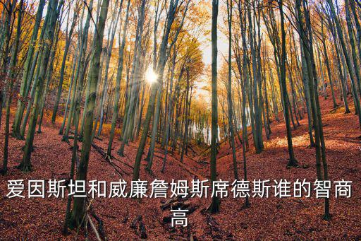 愛因斯坦和威廉詹姆斯席德斯誰的智商高
