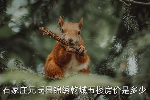 元氏哪個(gè)地方房?jī)r(jià)便宜，石家莊元氏縣錦繡乾城五樓房?jī)r(jià)是多少