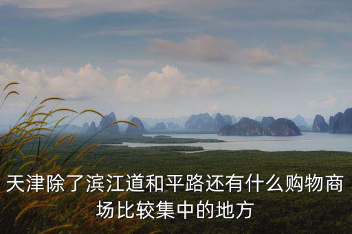 天津除了濱江道和平路還有什么購物商場比較集中的地方