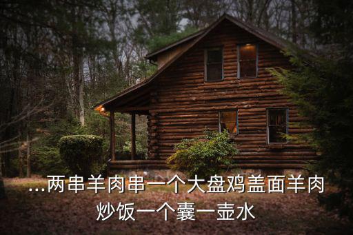 ...兩串羊肉串一個大盤雞蓋面羊肉炒飯一個囊一壺水