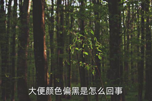 大便顏色偏黑是怎么回事