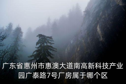 廣東省惠州市惠澳大道南高新科技產業園廣泰路7號廠房屬于哪個區