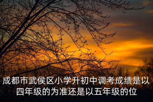 成都市武侯區小學升初中調考成績是以四年級的為準還是以五年級的位