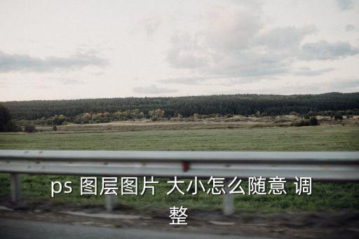  ps 圖層圖片 大小怎么隨意 調整