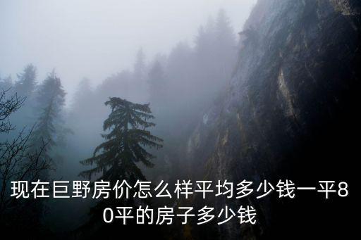 現在巨野房價怎么樣平均多少錢一平80平的房子多少錢
