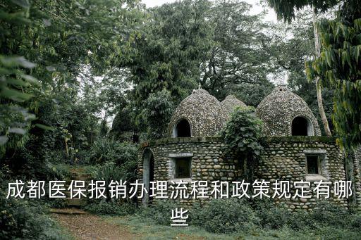成都醫保報銷辦理流程和政策規定有哪些