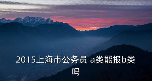 2015上海市公務(wù)員 a類能報b類嗎