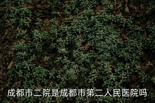 成都市二院是成都市第二人民醫院嗎