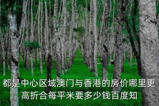 都是中心區域澳門與香港的房價哪里更高折合每平米要多少錢百度知