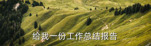 給我一份工作總結報告