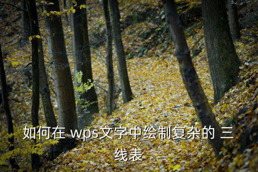 如何在 wps文字中繪制復(fù)雜的 三線表