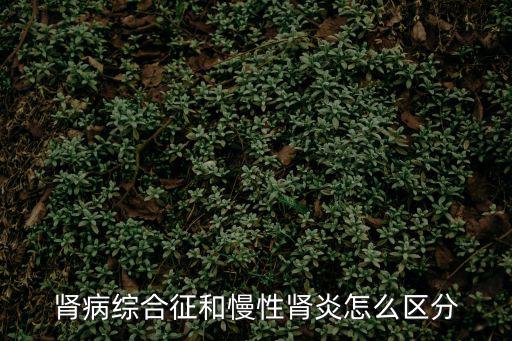 腎炎綜合征,如何鑒別腎炎和腎病綜合征?