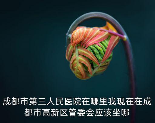 成都市第三人民醫院在哪里我現在在成都市高新區管委會應該坐哪