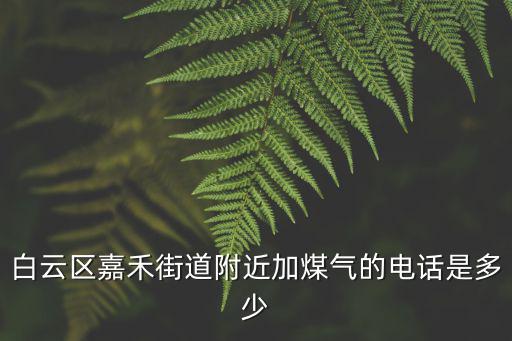 白云區嘉禾街道附近加煤氣的電話是多少