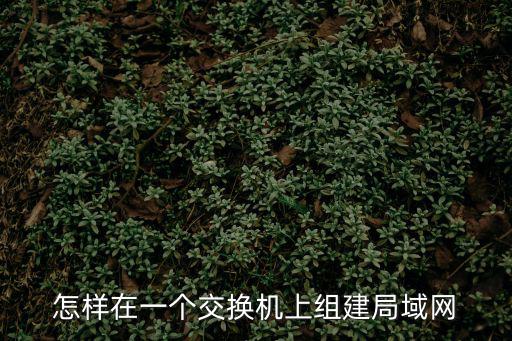 怎樣在一個交換機上組建局域網