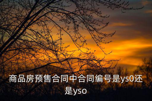 商品房預售合同中合同編號是ys0還是yso