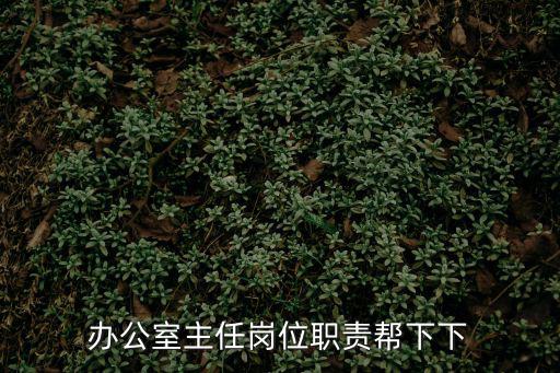 辦公室主任崗位職責幫下下