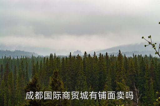 成都國際商貿城有鋪面賣嗎