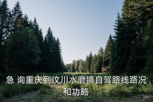 急 詢重慶到汶川水磨鎮自駕路線路況和功略