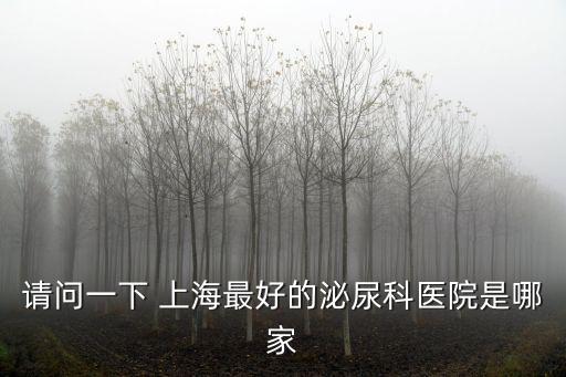 請問一下 上海最好的泌尿科醫院是哪家